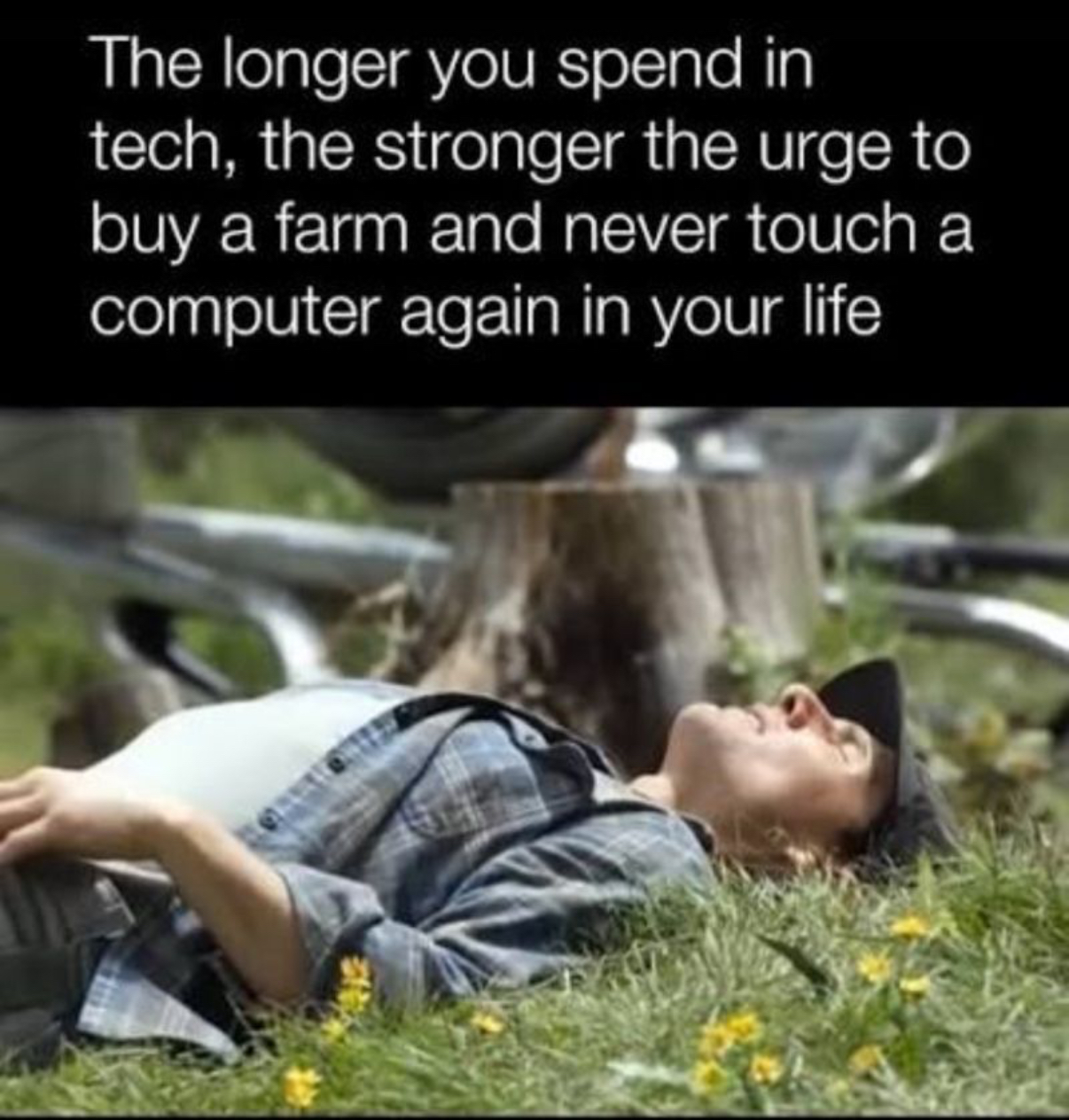 Thumbnail for Farming